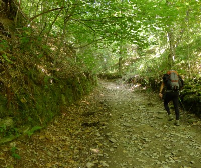 Camino Francés entre O Cebreiro y Triacastela