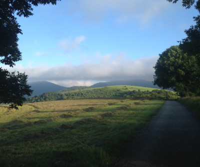 Camino Francés entre Roncesvalles y Zubiri