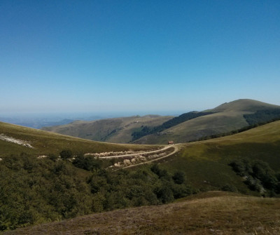 Paisaje montañoso en Roncesvalles