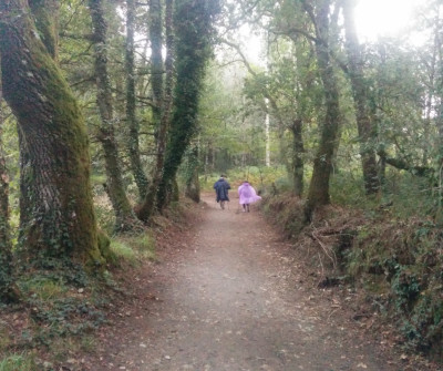 Camino de Santiago Francés entre Palas de Rei y Arzúa