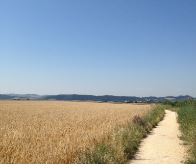 Paisaje de la etapa Pamplona - Puente la Reina