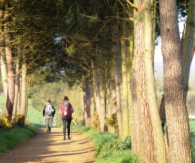 Camino de Santiago Francés entre Portomarín y Palas de Rei