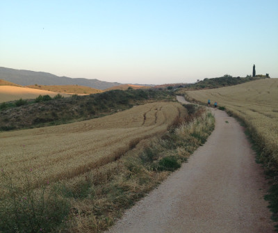 Camino Francés entre Puente la Reina y Estella