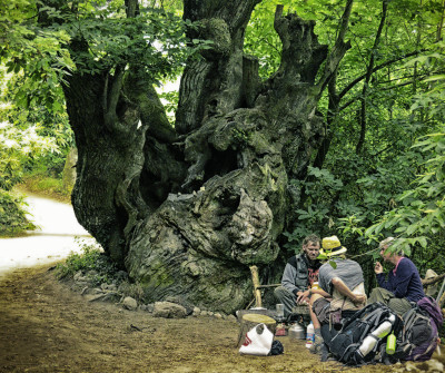 Peregrinos haciendo un alto en el Camino de Santiago Francés