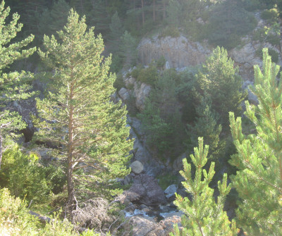 Camino Francés por Aragón entre Somport y Jaca