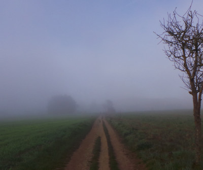 Niebla en el tramo del Camino Francés entre Triacastela y Sarria