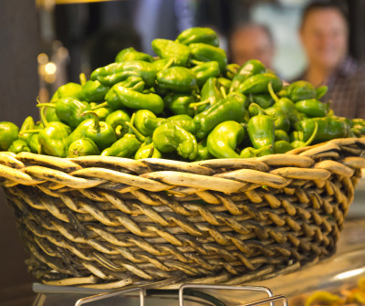 Pimientos de Padrón, Camino Portugués