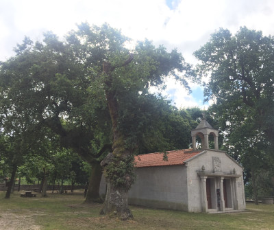 Capilla de Santiaguio de Antas en Mos, Camino Portugués