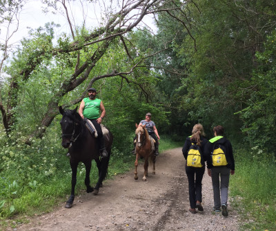 Peregrinos haciendo el Camino Portugués a caballo