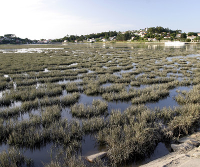 Estuario de A Ramallosa, Camino Portugués por la Costa