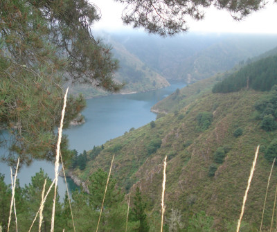 Grandas de Salime, en el Camino Primitivo