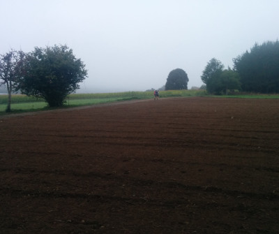 Vistas de Camino de Santiago cerca de O Pedrouzo