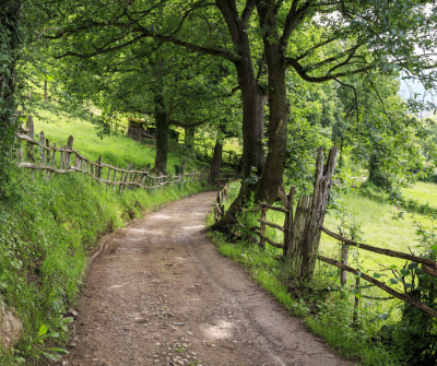 Caminando de Tineo a Pola de Allande por el Camino Primitivo