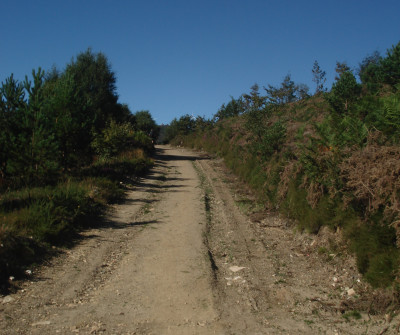 Camino Primitivo entre A Fonsagrada y O Cádavo