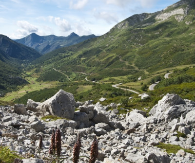 Paisaje del Camino Primitivo entre Salas y Tineo