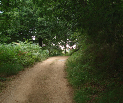 Camino Primitivo a su paso por Villaluz