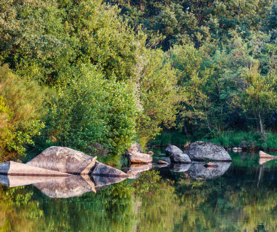 Río Tera en el Camino Sanabrés