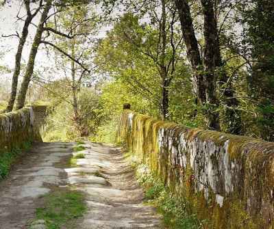 Camino Sanabrés a su paso por Cudeiro