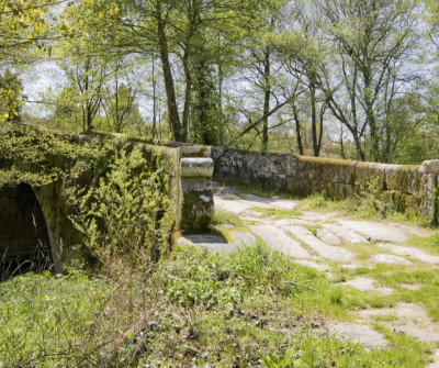 Camino Sanabrés entre Ourense y Cea