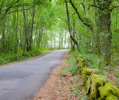 Etapa entre Ourense y Cea del Camino de Santiago