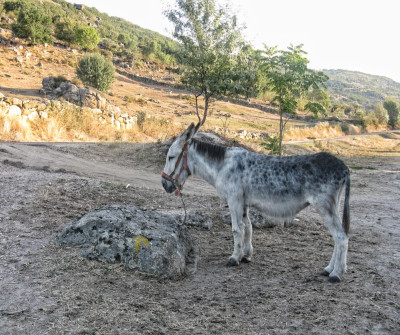 Puerto de Béjar