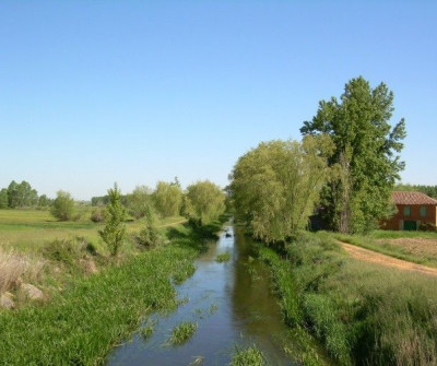 Vía de la Plata camino de Quintana