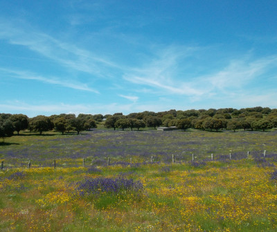 Paisajes de Vía de la Plata