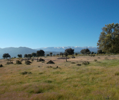 Monte en Vía de la Plata