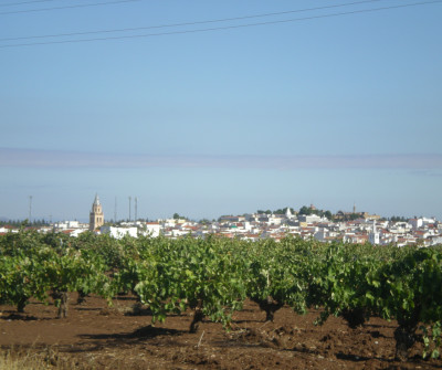 Pueblo de Villafranca de los Barros