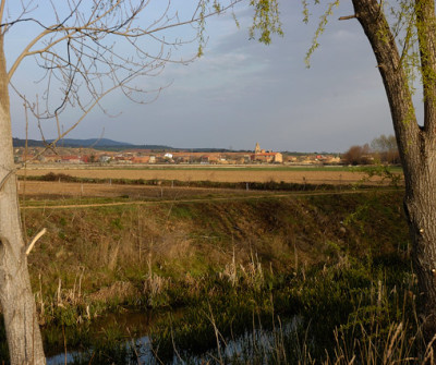 Paisaje saliendo de Alija del Infantado