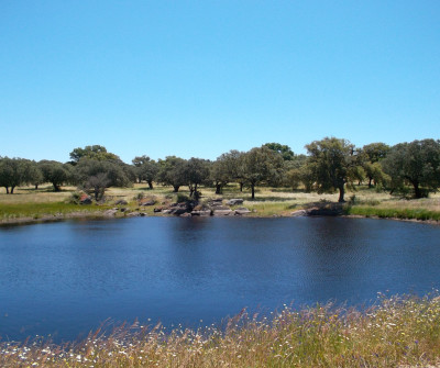 Río en Vía de la Plata