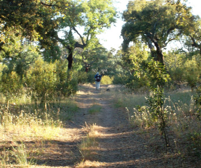 Camino Vía de la Plata