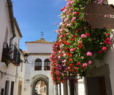 Callejita en Zafra, Vía de la Plata