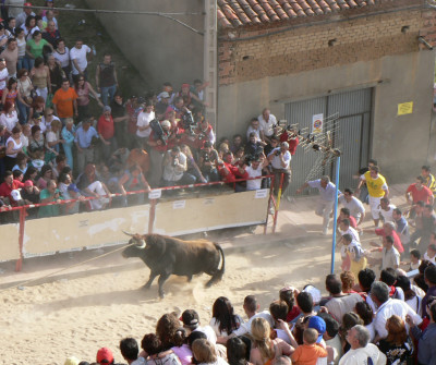 Toros en Benavente