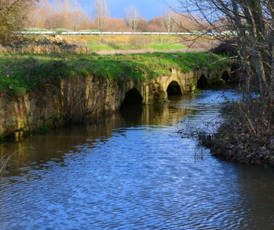 Puente romano en Palacios