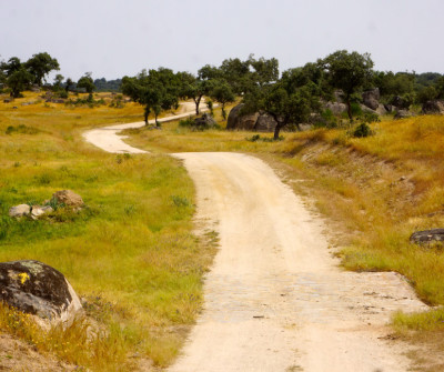 Camino a Mérida